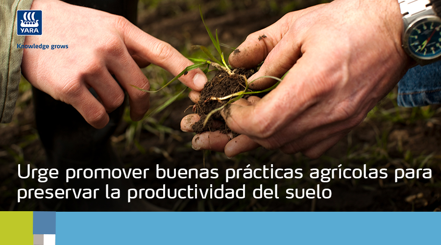 Urge Promover Buenas Prácticas Agrícolas Para Preservar La Productividad Del Suelo Yara Perú 5793