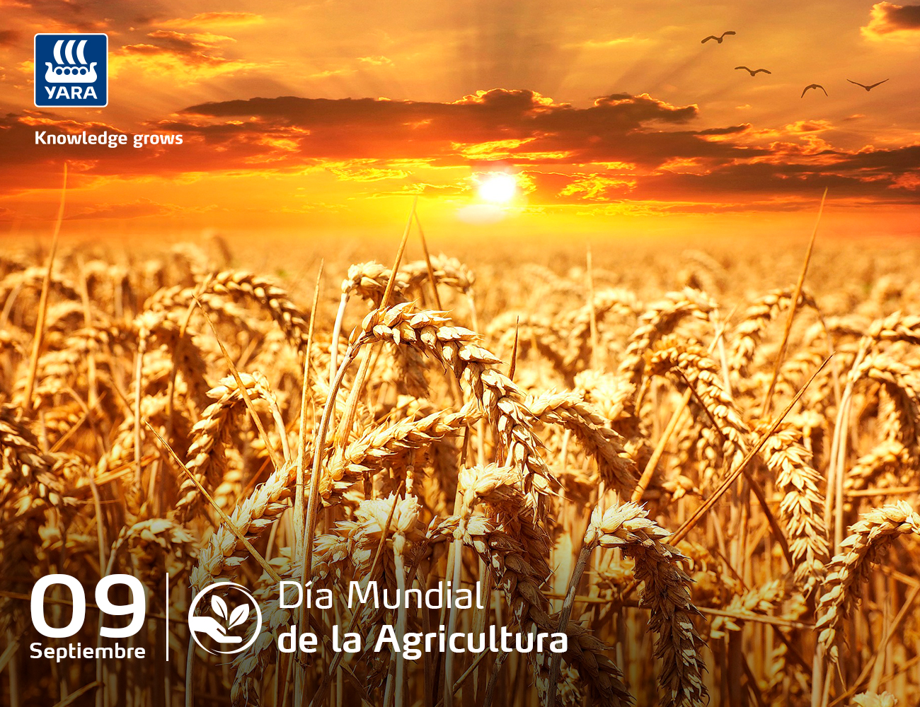 Día Mundial de la Agricultura: agricultura familiar debe modernizarse para ser productiva y sostenible, según Yara