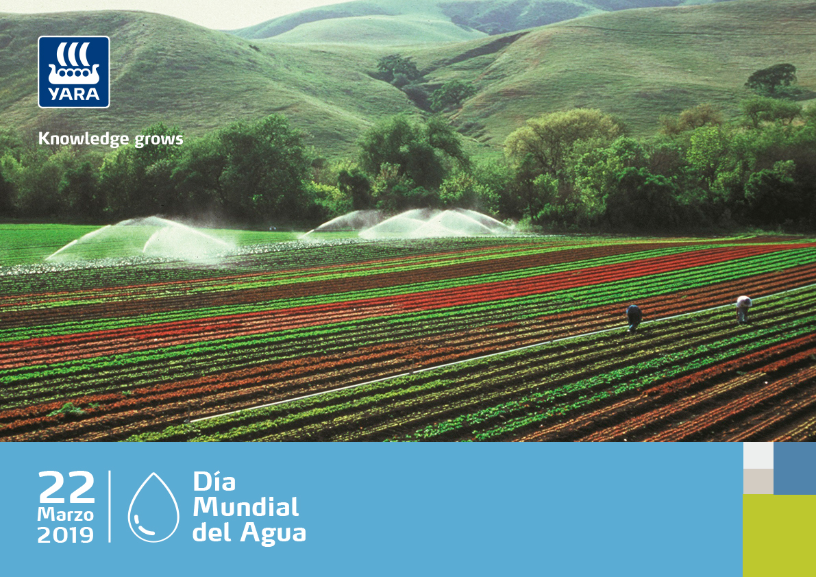 Día Mundial del Agua