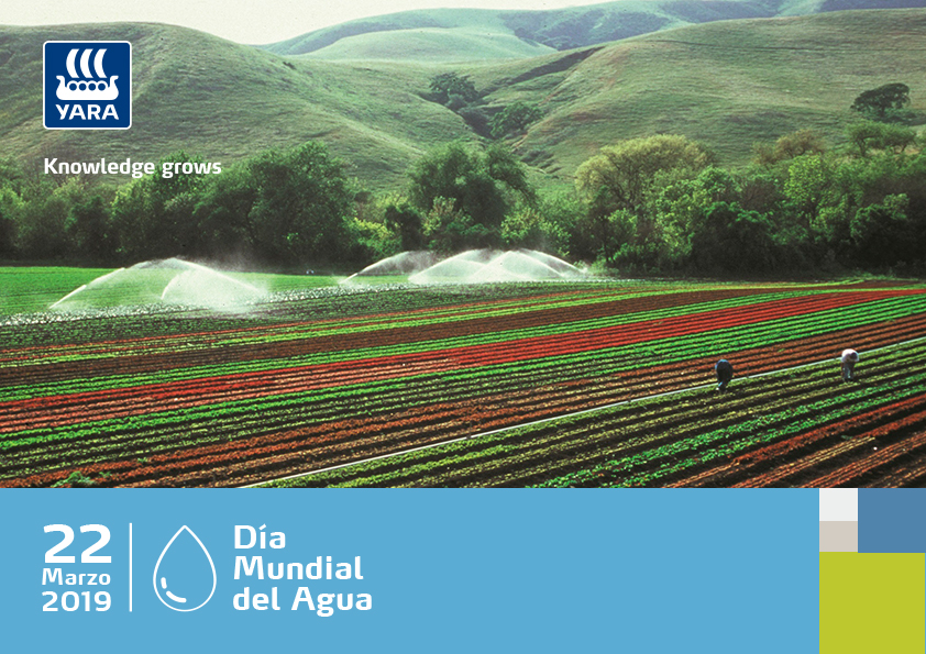 Día Mundial del Agua